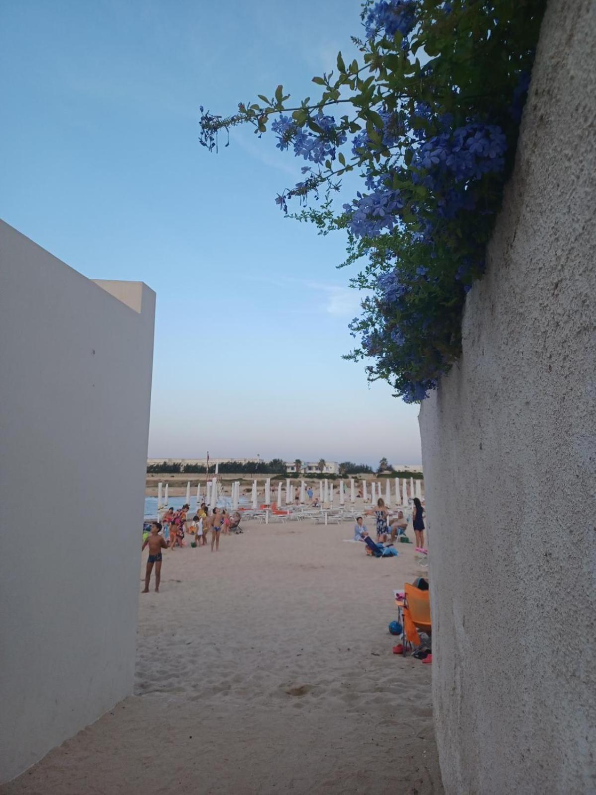 Maremilia Ostuni